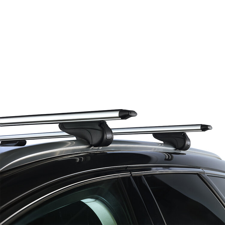 Hapro wingbar dakdragers Dacia Sandero Stepway SUV 2009 t/m 2012