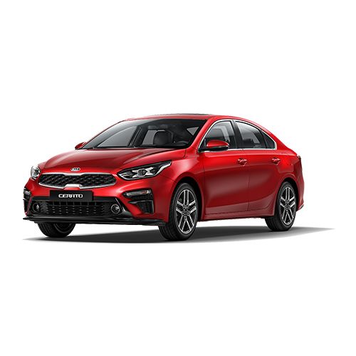 Cerato